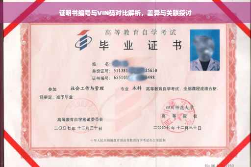 证明书编号与VIN码对比解析，差异与关联探讨