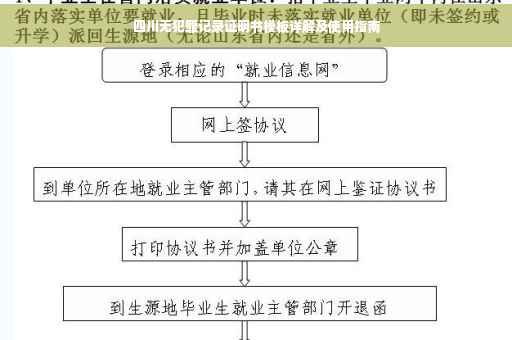 四川无犯罪记录证明书模板详解及使用指南