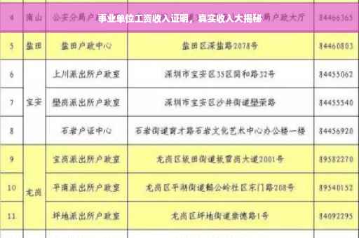 事业单位工资收入证明，真实收入大揭秘