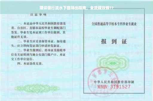 建设银行流水下载导出指南，全流程攻略??