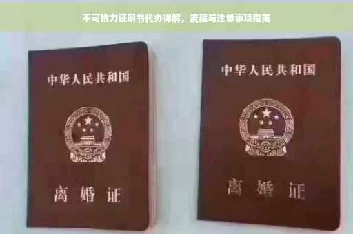 不可抗力证明书代办详解，流程与注意事项指南
