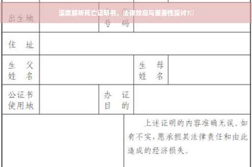 深度解析死亡证明书，法律效应与重要性探讨?✨