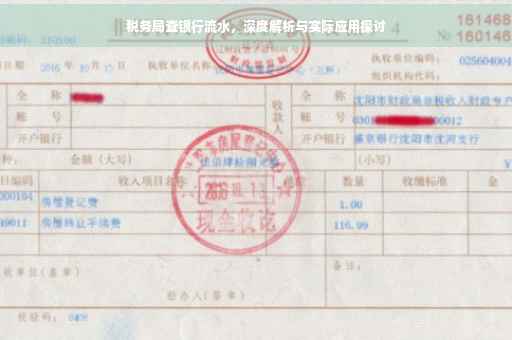 税务局查银行流水，深度解析与实际应用探讨