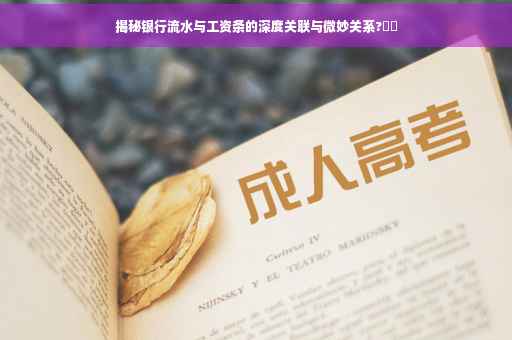 揭秘银行流水与工资条的深度关联与微妙关系?⚡️