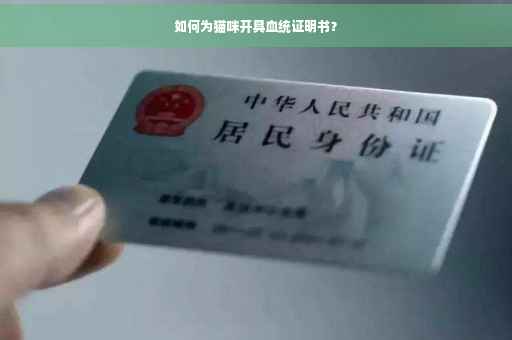 如何为猫咪开具血统证明书？