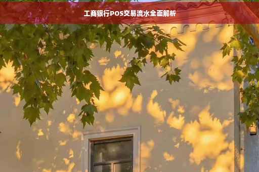 工商银行POS交易流水全面解析