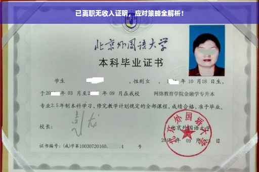 已离职无收入证明，应对策略全解析！
