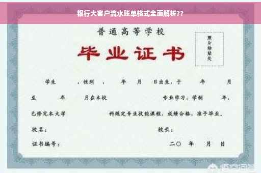 银行大客户流水账单格式全面解析??