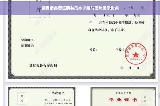商品房备案证明书范本详解与图片展示指南