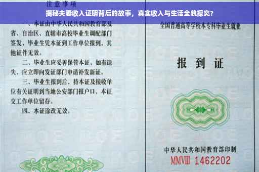 揭秘夫妻收入证明背后的故事，真实收入与生活全貌探究?