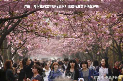 详解，如何查询去年银行流水？流程与注意事项全解析