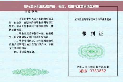 银行流水批量处理详解，概念、应用与注意事项全解析