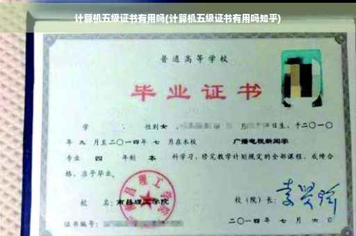 计算机五级证书有用吗(计算机五级证书有用吗知乎)