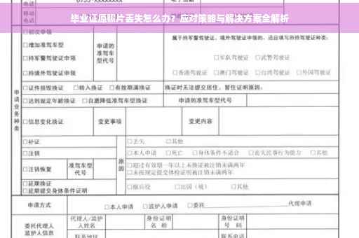 毕业证原照片丢失怎么办？应对策略与解决方案全解析
