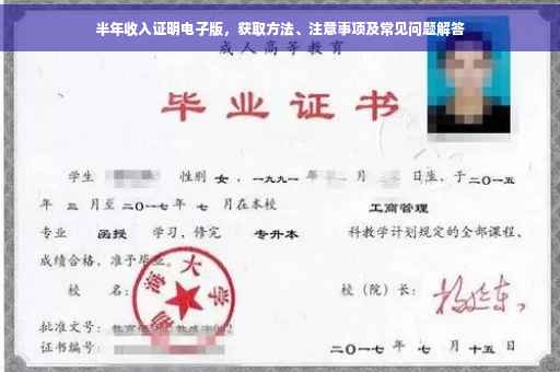 半年收入证明电子版，获取方法、注意事项及常见问题解答