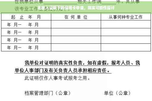无收入证明下的信用卡申请，现实可能性探讨