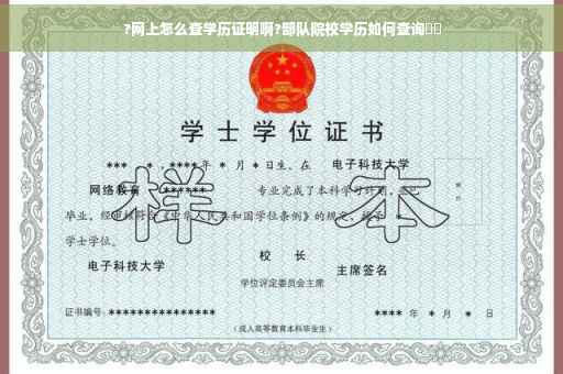 ?网上怎么查学历证明啊?部队院校学历如何查询⚡️