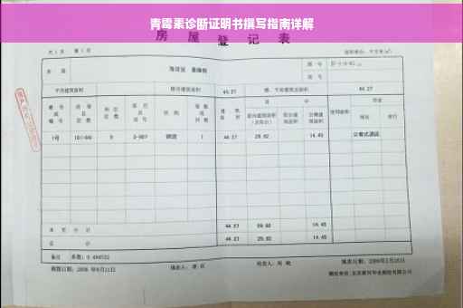 青霉素诊断证明书撰写指南详解