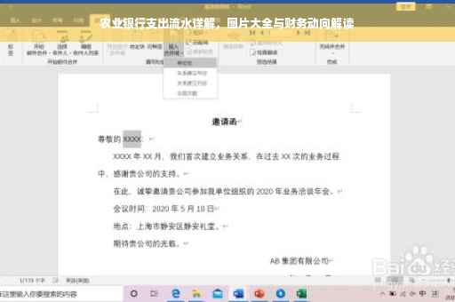 农业银行支出流水详解，图片大全与财务动向解读