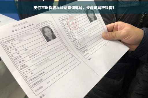 支付宝医保收入证明查询详解，步骤与解析指南?