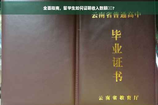 全面指南，留学生如何证明收入数额⚡️?
