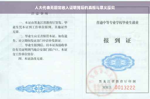人大代表无固定收入证明背后的真相与意义探究