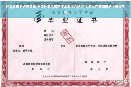 计算机证书去哪里看,全国计算机高新技术考试合格证书,怎么在查询网站上查询不到