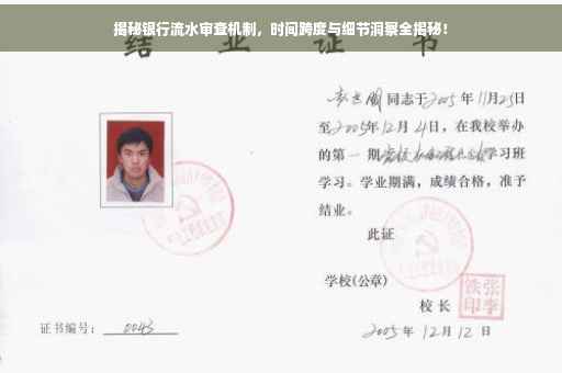 揭秘银行流水审查机制，时间跨度与细节洞察全揭秘！