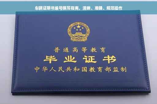 车辆证明书编号撰写指南，清晰、准确、规范操作