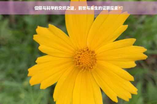 信仰与科学的交织之谜，前世与来生的证明探索?✨