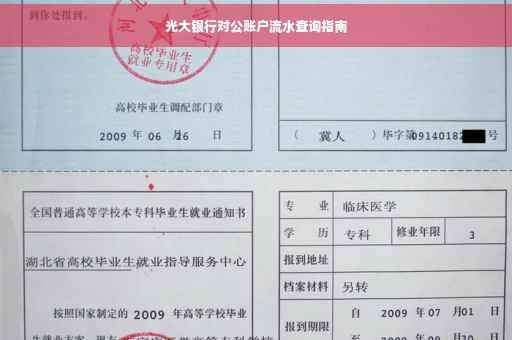 光大银行对公账户流水查询指南