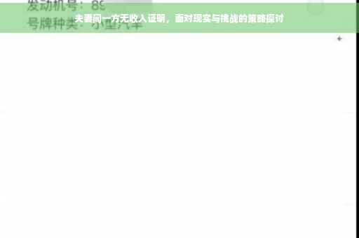 夫妻间一方无收入证明，面对现实与挑战的策略探讨
