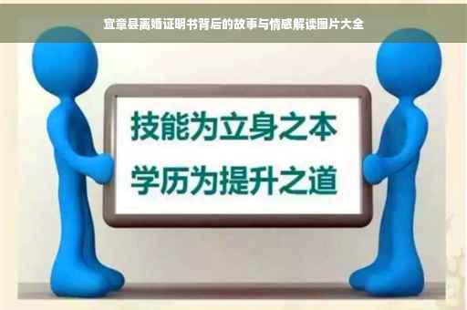 宜章县离婚证明书背后的故事与情感解读图片大全