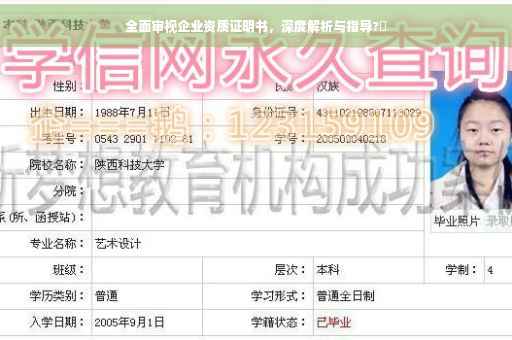 全面审视企业资质证明书，深度解析与指导?✨
