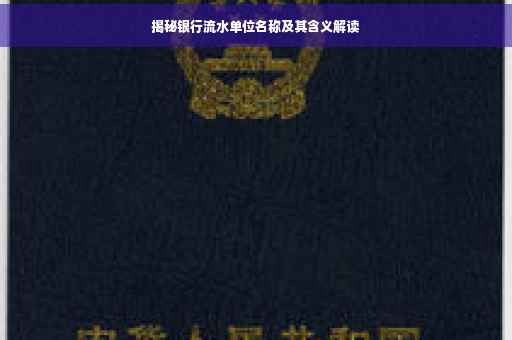 揭秘银行流水单位名称及其含义解读