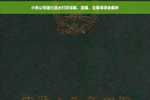 小贷公司银行流水打印详解，流程、注意事项全解析