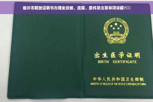 临沂市释放证明书办理全攻略，流程、条件及注意事项详解?⚡️