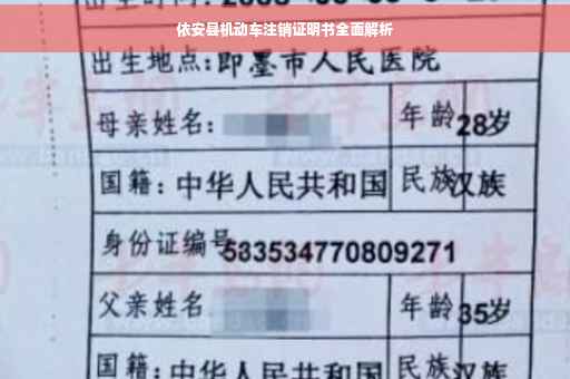 依安县机动车注销证明书全面解析
