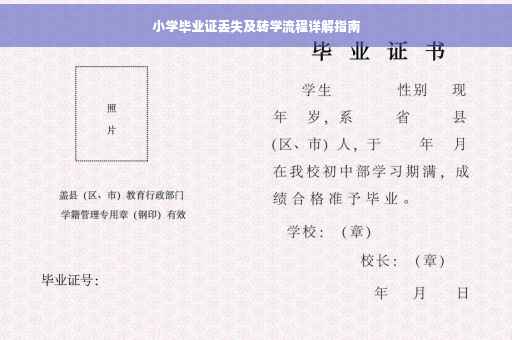 小学毕业证丢失及转学流程详解指南
