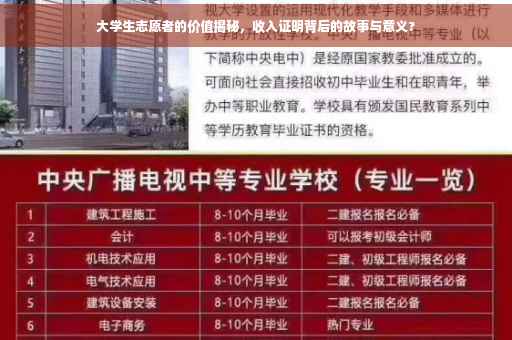 大学生志愿者的价值揭秘，收入证明背后的故事与意义?