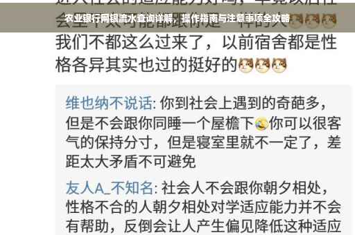 农业银行网银流水查询详解，操作指南与注意事项全攻略