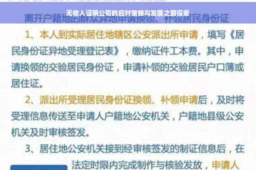 无收入证明公司的应对策略与发展之路探索