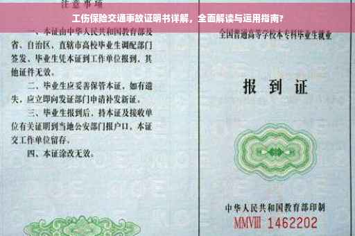 工伤保险交通事故证明书详解，全面解读与运用指南?