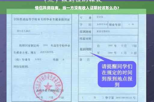 情侣购房指南，当一方没有收入证明时该怎么办？