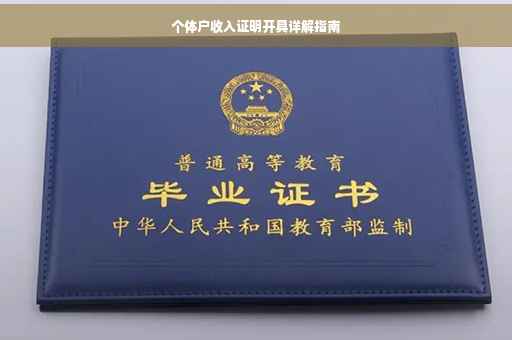 个体户收入证明开具详解指南