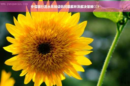 中信银行流水无验证码问题解析及解决策略⚡️?