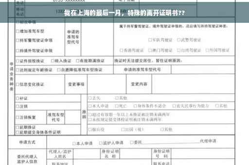 我在上海的最后一月，特殊的离开证明书??