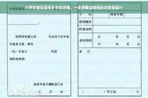 小学毕业证丢失补办全攻略，一步步教你如何补办毕业证??
