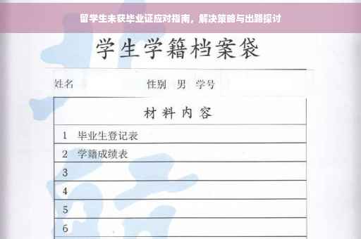留学生未获毕业证应对指南，解决策略与出路探讨