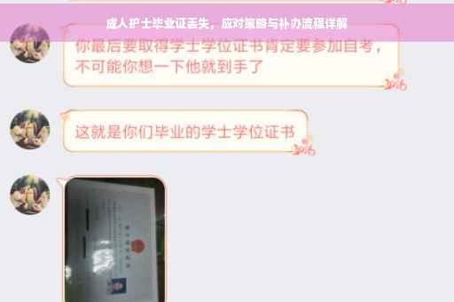 成人护士毕业证丢失，应对策略与补办流程详解